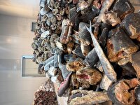 کشف و ضبط ۱۷ تُن ماهی در سردخانه غیرمجاز در تبریز