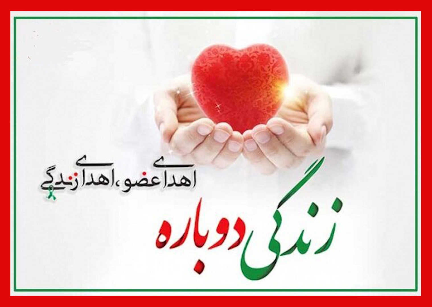 اهدای عضو جوان ۱۸ ساله قمی به چندبیمار حیات دوباره بخشید
