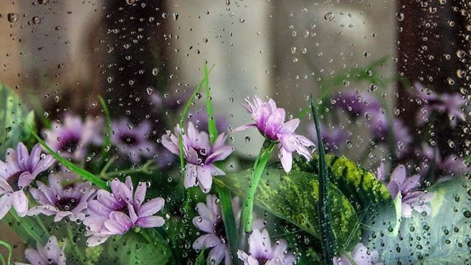 پیش بینی هفته ای بارانی در زنجان پیش بینی هفته ای بارانی در زنجان