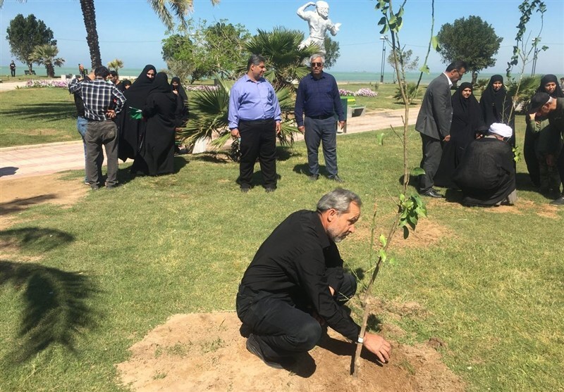 کاشت ۲۵ هزار نهال با مشارکت مردم در بوشهر کاشت ۲۵ هزار نهال با مشارکت مردم در بوشهر