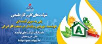 استفاده از ظرفیت شرکت‌های کارور برای بهینه‌سازی مصرف گاز
