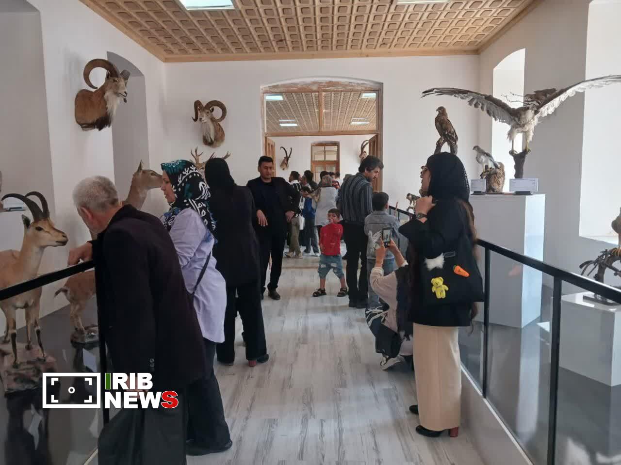 کسب رتبه برتر موزه تاریخ طبیعی و تنوع زیستی استان لرستان در کشور