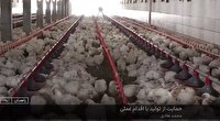 حمایت از سرمایه گذاران زاهدانی با اقدام عملی