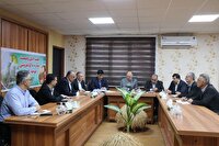 جریمه ۲۳۰ میلیارد تومانی ۲۶ واحد مرغ مادر متخلف در مازندران