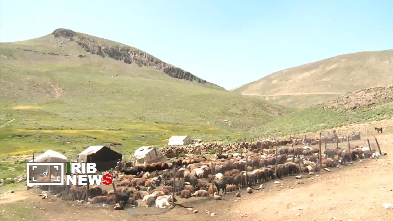 کوچ ییلاقی عشایر آذربایجان شرقی و غربی به مراتع سهند