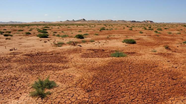 ۱۴۰ هزار هکتار کانون بحرانی گرد و غبار در ایلام