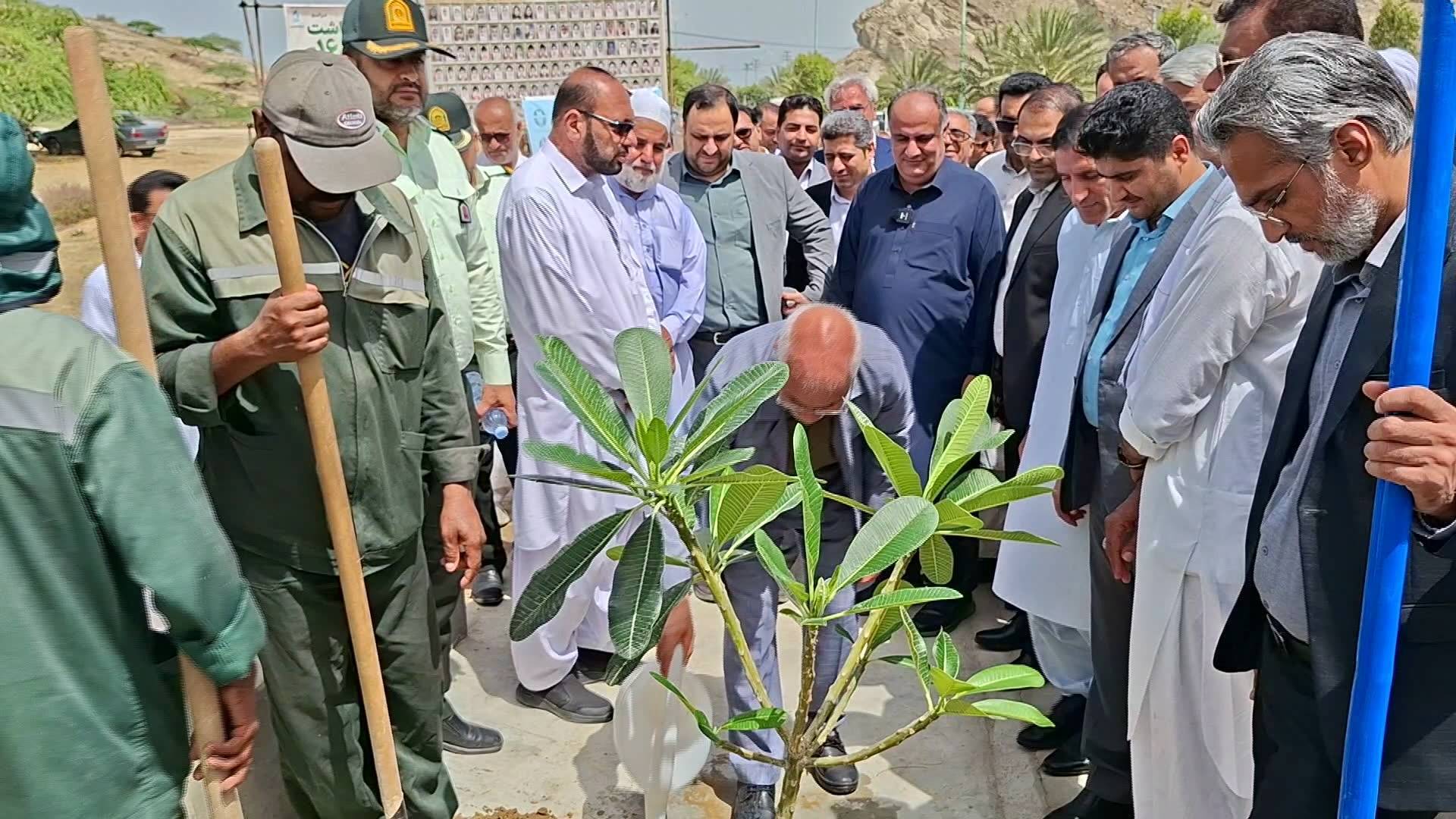 کاشت ۱۶۸ اصله نهال به بیاد ۱۶۸ دانش آموز شهید میناب