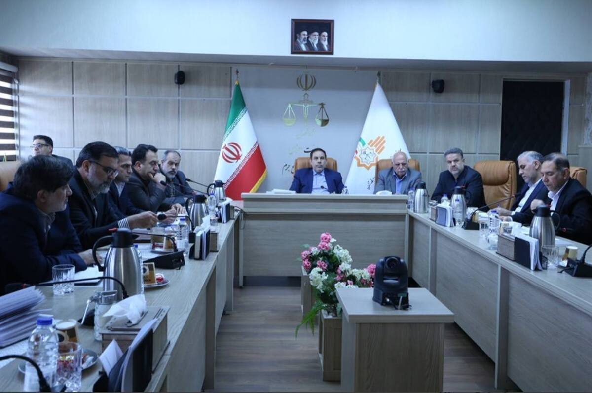 کاهش خروج غیرقانونی آرد در ۶ استان با اجرای سامانه هوشمند نظارتی