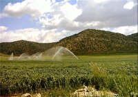 اشتغالزایی ۳ هزار و ۱۶۲ نفری با افتتاح ۴۶ طرح کشاورزی در ایلام