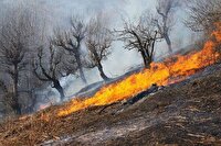 آتش گرفتن ۵ هکتار از مراتع استان اصفهان براثر بی احتیاطی