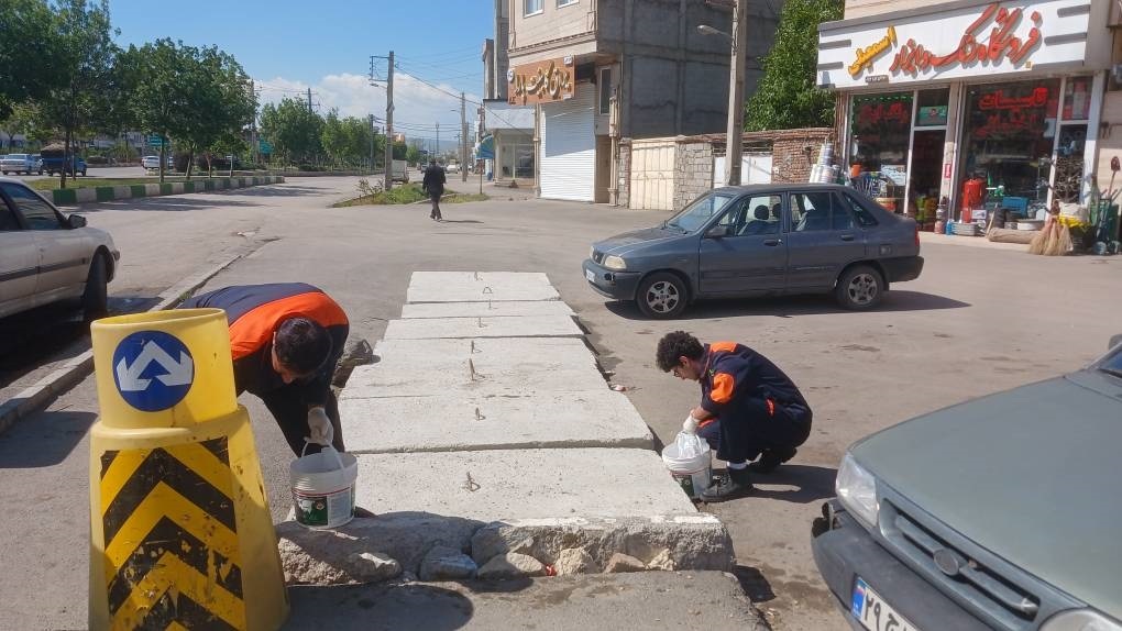 ضرورت همکاری شهروندان اردبیلی برای کنترل جمعیت موش ها