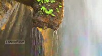 تصاویر زیبا از طبیعت بکر و زیبای تنگ گنجه‌ای یاسوج