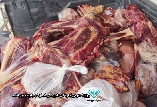 کشف و ضبط ۴۳۰ کیلوگرم گوشت کشتار آزاد و تاریخ‌منقضی در بویراحمد