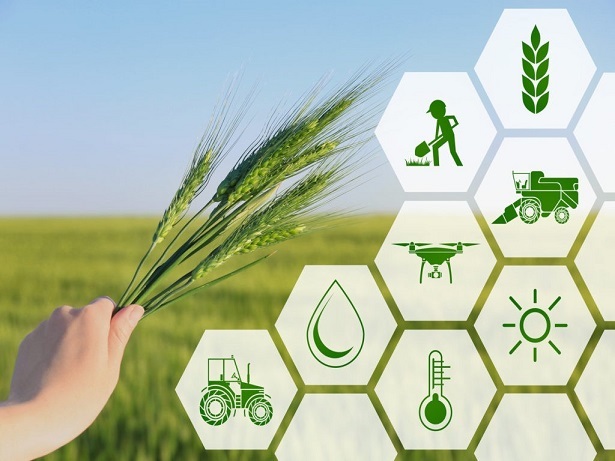 رونق اقتصادی در آذربایجان‌غربی با اجرای بیش ۳۲۰ طرح کشاورزی