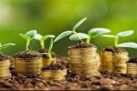 واریز ۵۳۱ میلیارد تومان به حساب گندم‌کاران کرمانشاهی