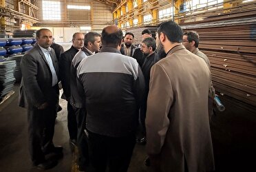 حمایت از تولید؛ محور بازدید مسئولان قضایی قزوین از صنایع لیا