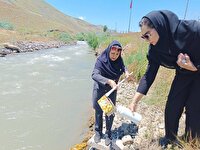 پایش کیفی آب رودخانه سروچای ارومیه در فصل تابستان