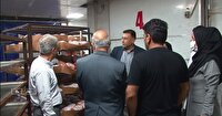 کشتارگاه صنعتی مرغ بهار زیر ذره بین مسئولان