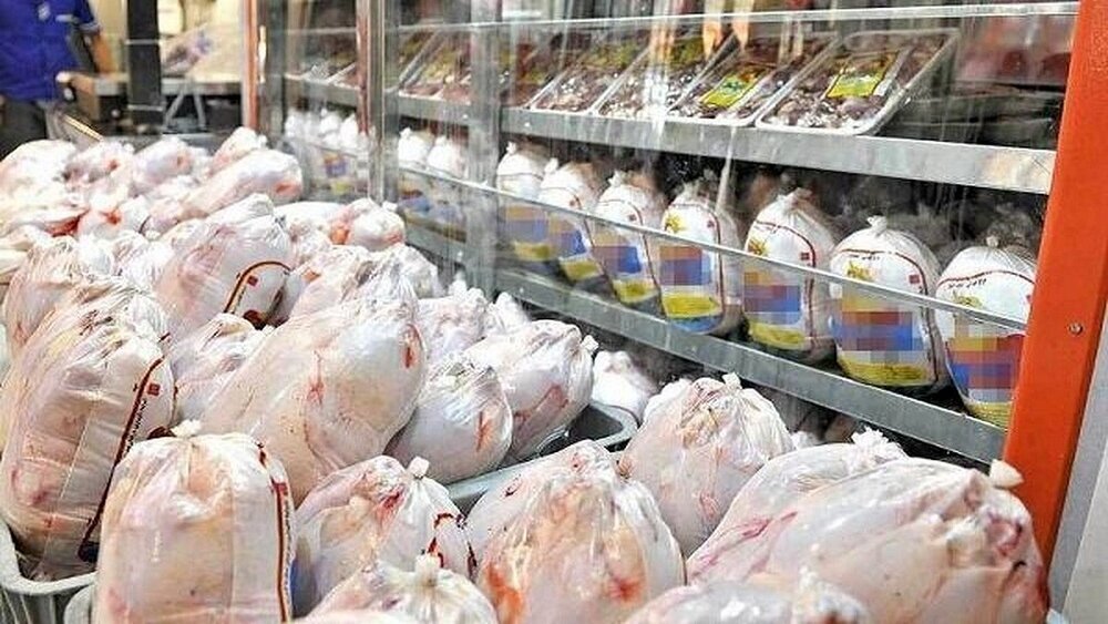 اجرای طرح خرید حمایتی گوشت مرغ منجمد بسته بندی در خراسان جنوبی