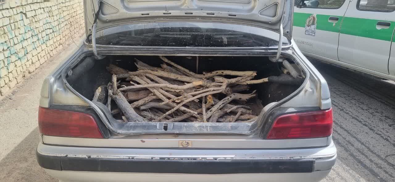 کشف ۲۵۰ کیلوگرم چوب تاغ جنگلی در بخش کویرات