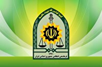 دستگیری عامل ۱۰ همت اخلال در نظام اقتصادی و پولشویی در سیرجان