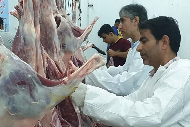 نظارت ۳۴ گروه دامپزشکی بر ذبح بهداشتی دام در ماه محرم در استان مرکزی