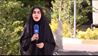 قاچاق برق پنهان از چشم قانون