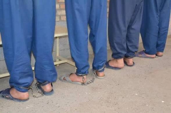 دستگیری باند سارقان سریالی منازل در مازندران