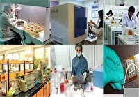 پرداخت ۱۶۰۰ میلیارد ریال وام به شرکت‌های دانش‌بنیان اردبیل