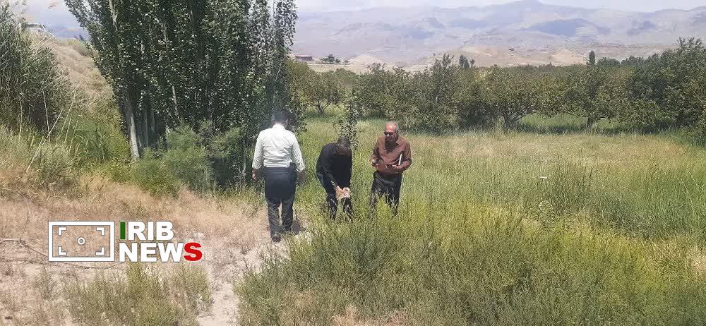 رفع تصرف ۱۶.۵ هکتار از اراضی ملی شهرستان هوراند