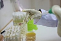 انجام بیش از ۳۸ هزار آزمایش در آزمایشگاه‌های دامپزشکی استان بوشهر