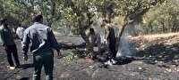 مهار آتش سوزی در اراضی ملی سروک