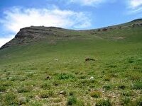 برآورد ۶ هزار میلیارد تومانی ارزش علوفه مراتع اصفهان