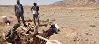 مرمت و لایروبی ۳۵ رشته قنات در خواف
