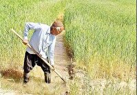 تعیین مصرف آب در کشاورزی معطل تحویل حجمی