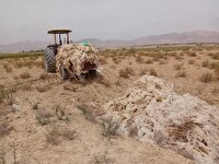 جمع آوری بقایای پلاستیک از مزارع سرخه