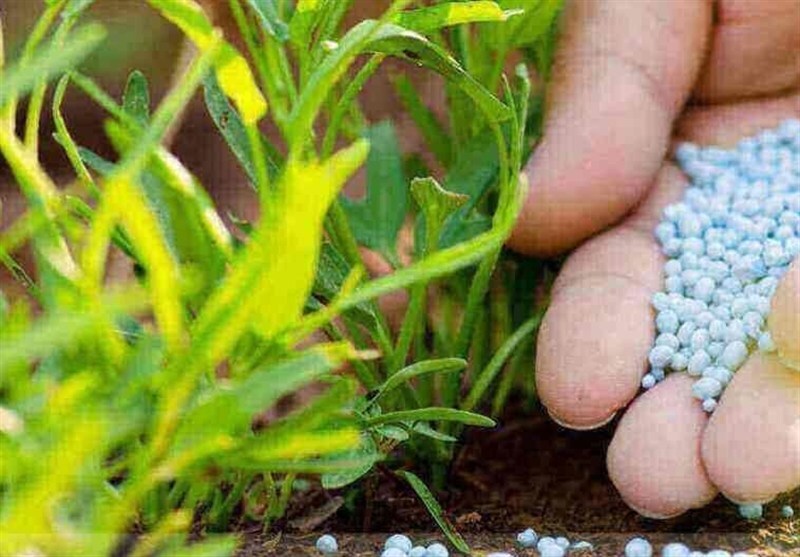 جایگزینی کشاورزی هوشمند با روش‌های سنتی در اصفهان