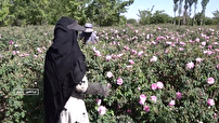  مسعود خنامانی؛ گل‌کار نمونه بردسیری الگوی موفق کشوری