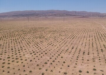 مهار کانون گردوغبار سراجه قم با اعتبار ۲۰۰ میلیارد تومانی مهار کانون گردوغبار سراجه قم با اعتبار ۲۰۰ میلیارد تومانی