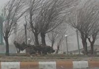 وزش باد شدید و گرد و خاک در تهران