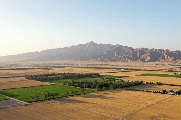تعیین تکلیف ۷۱۴ هکتار از اراضی ملی در سیستان و بلوچستان