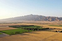 تعیین تکلیف ۷۱۴ هکتار از اراضی ملی در سیستان و بلوچستان