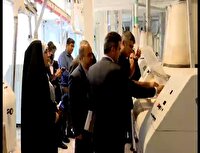 نظارت بر کارخانه‌های آرد بجنوردگامی برای ارتقای کیفیت نان