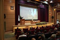 بازگشت ۱۹۹۸ همت به بیت‌المال با اقدامات سازمان بازرسی کل کشور