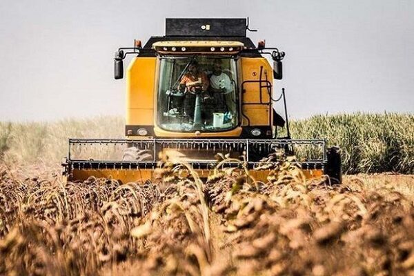 برداشت ۴۵۰ تن آفتاب‌گردان در پارس‌آباد