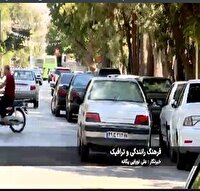 فرهنگ پارک کردن خودرو در خیابان